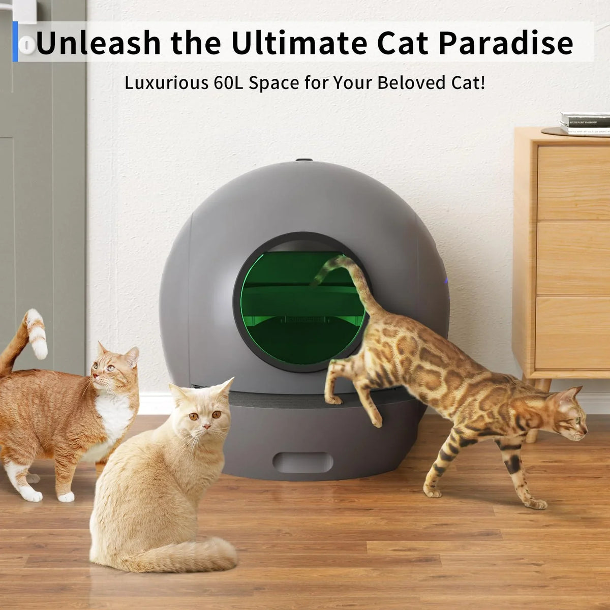 ELS PET Self Cleaning Cat Litter Box  Automatic Cat Litter Box for Multiple Cats APP Control [Upgraded Version]