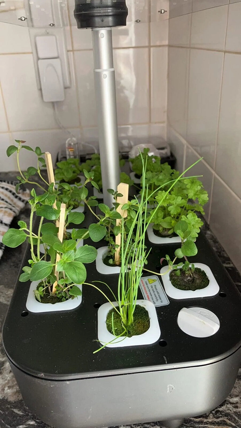 Hydroponics Growing System Indoor Garden Germination Kit 36W LED Grow Light Time