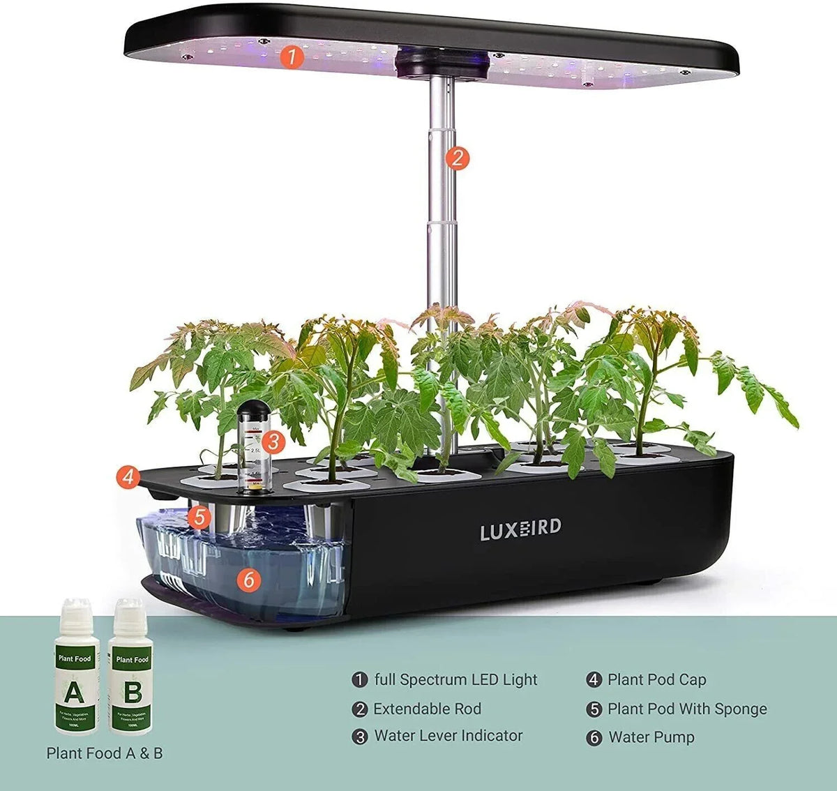 Hydroponics Growing System Indoor Garden Germination Kit 36W LED Grow Light Time
