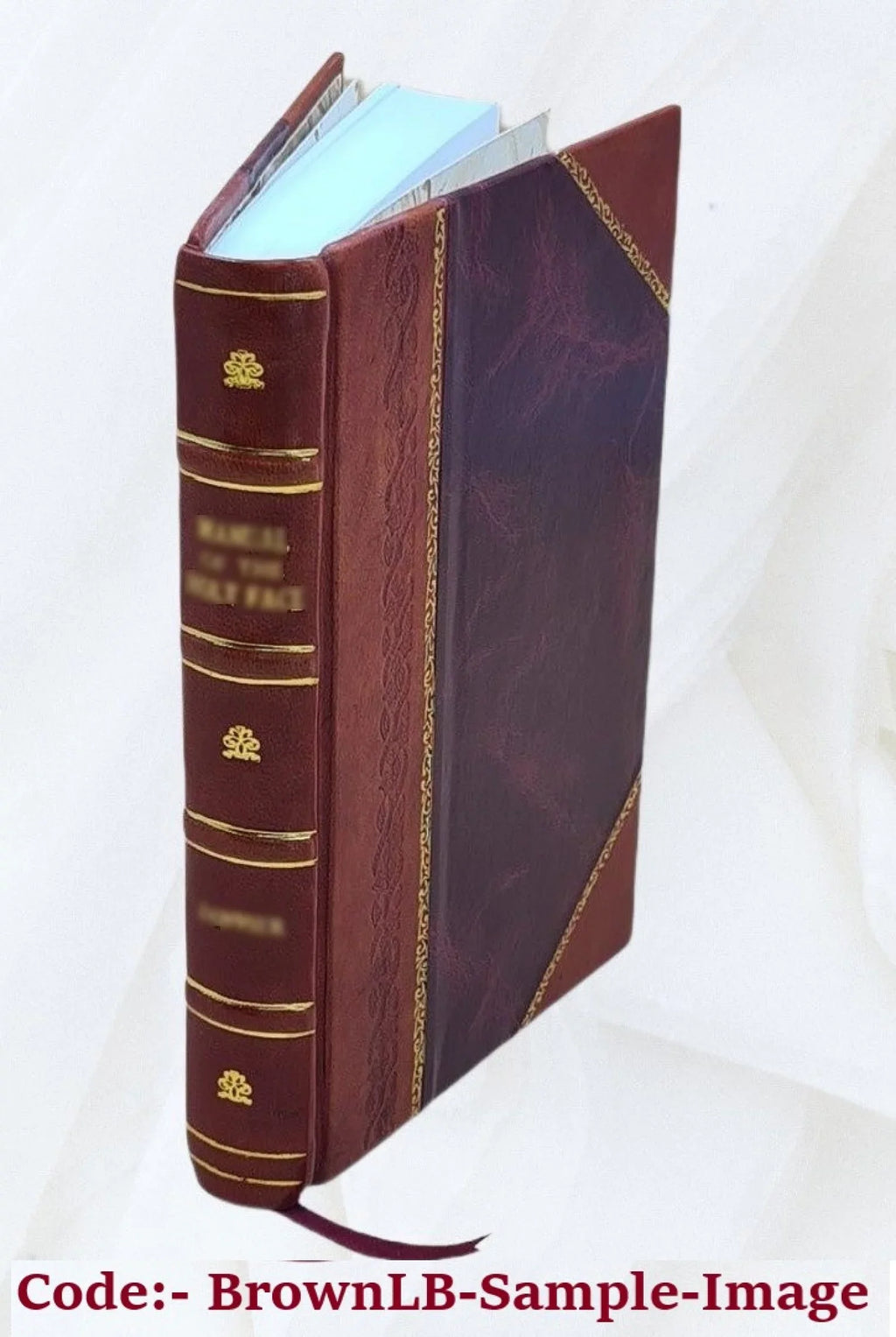 Volume v.16 1933 [Leather Bound]. The Pawnee ghost dance hand game; a study of cultural change, by Alexander Lesser