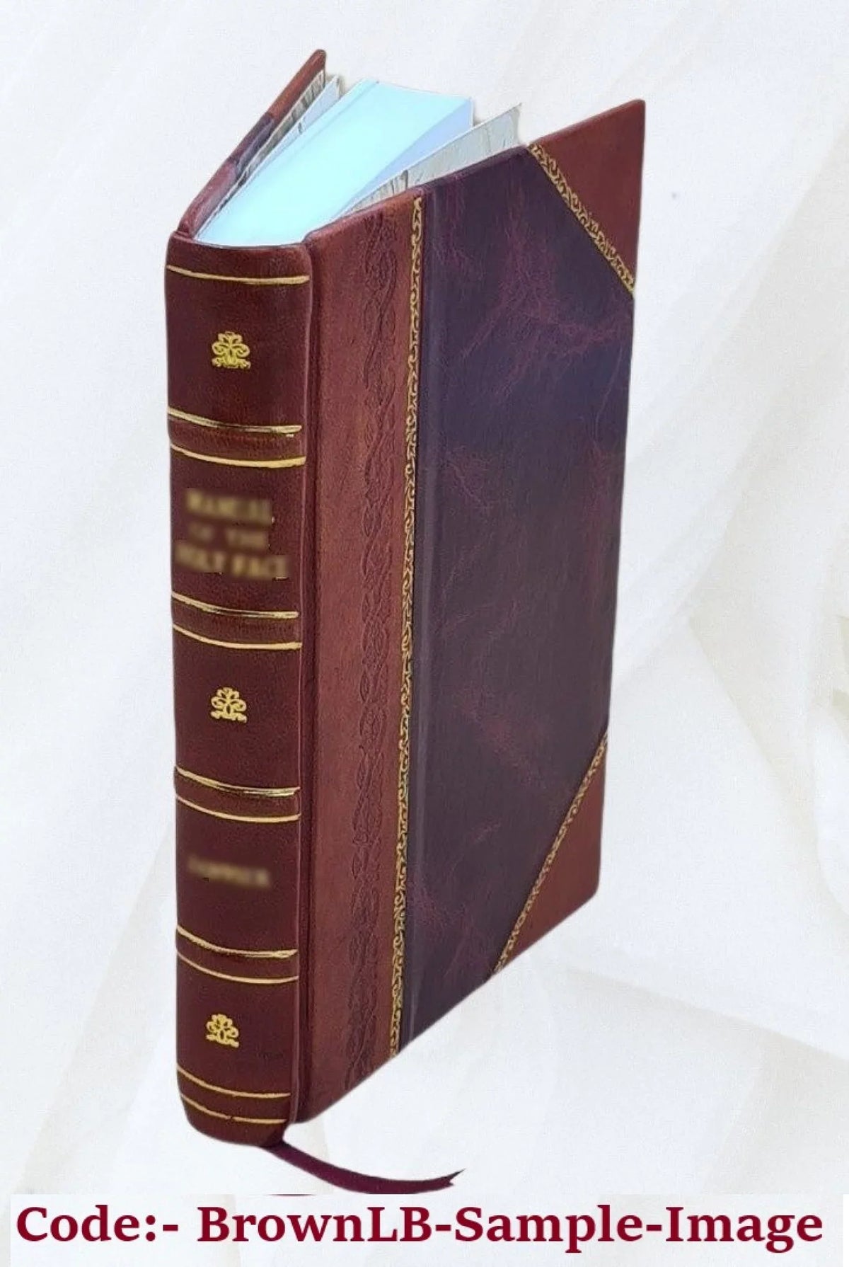 Volume v.16 1933 [Leather Bound]. The Pawnee ghost dance hand game; a study of cultural change, by Alexander Lesser
