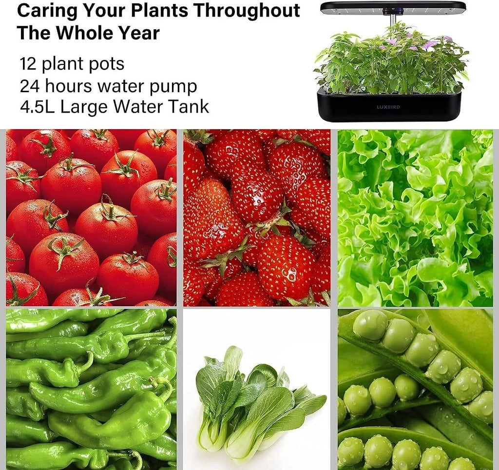 Hydroponics Growing System Indoor Garden Germination Kit 36W LED Grow Light Time