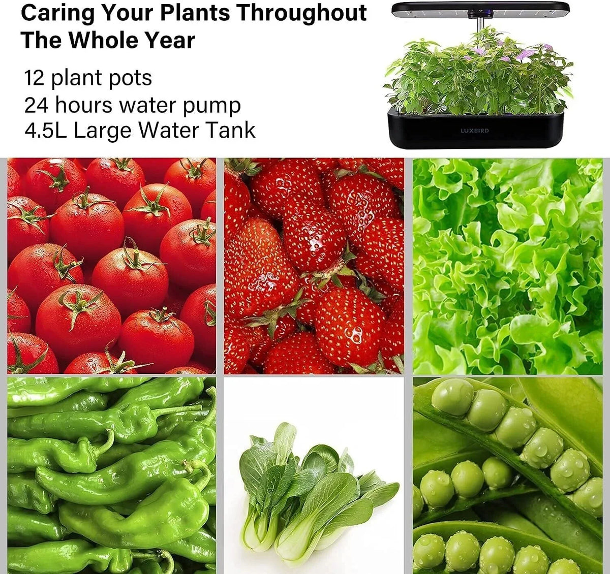 Hydroponics Growing System Indoor Garden Germination Kit 36W LED Grow Light Time