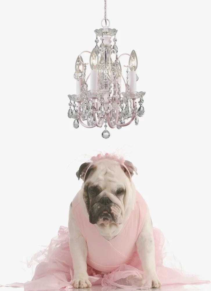 4 Light Mini Chandelier-Swarovski Spectra Crystal Type-Polished Chrome Finish   -Traditional Installation Crystorama Lighting 3224-Ch-Cl-Saq