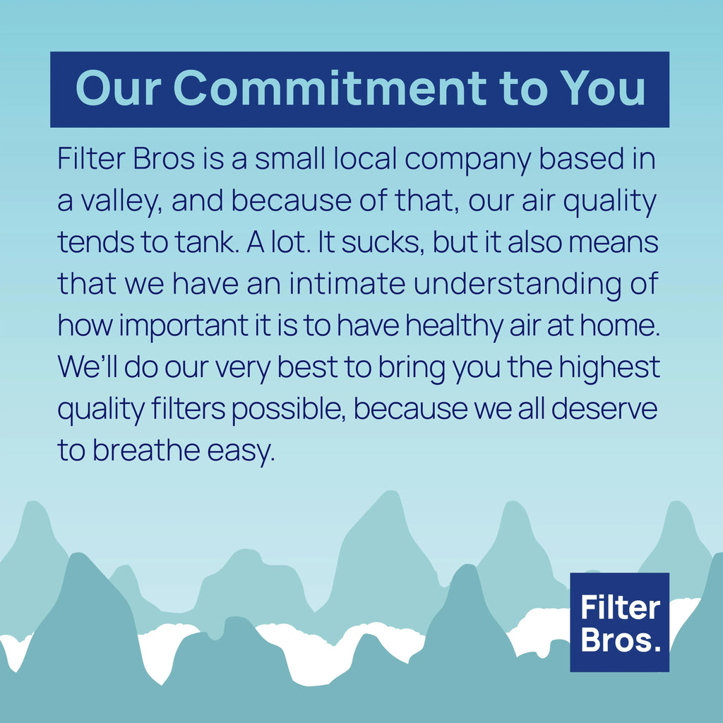Filter Bros HEPA Replacement Filter A appropriate with Winix 115115 Plasmawave Series Home Air Purifiers 6300, P300, 5300, 5500, 5500-2, 5300-2, 6300-2, 9500, C535