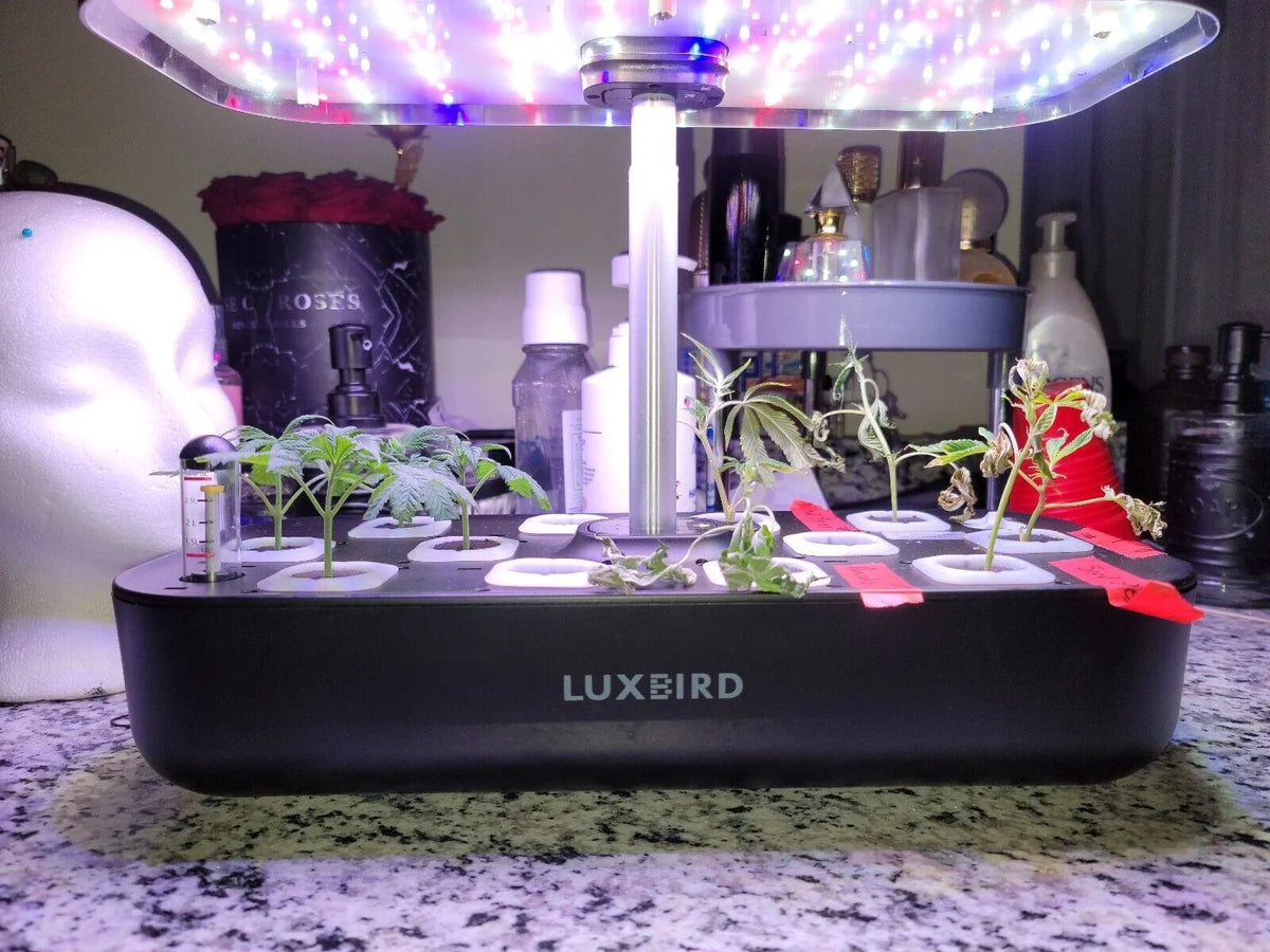 Hydroponics Growing System Indoor Garden Germination Kit 36W LED Grow Light Time