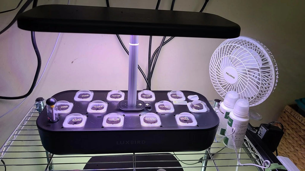 Hydroponics Growing System Indoor Garden Germination Kit 36W LED Grow Light Time
