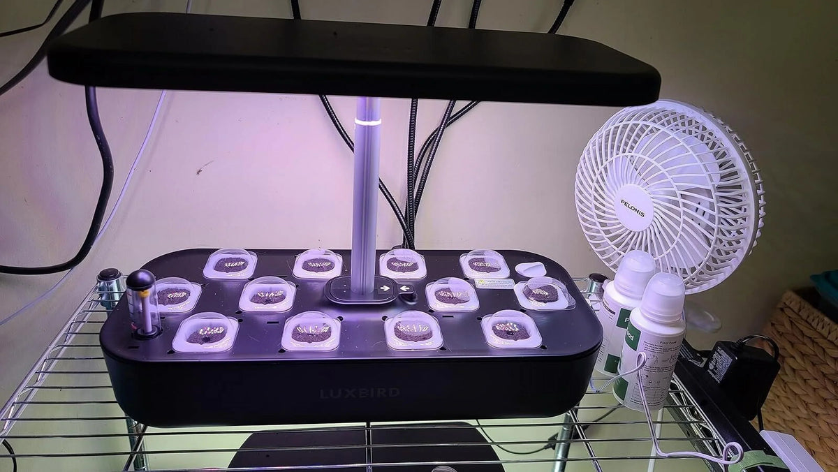 Hydroponics Growing System Indoor Garden Germination Kit 36W LED Grow Light Time
