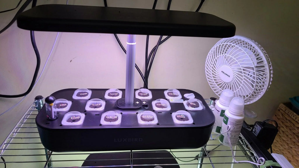 Hydroponics Growing System Indoor Garden Germination Kit 36W LED Grow Light Time