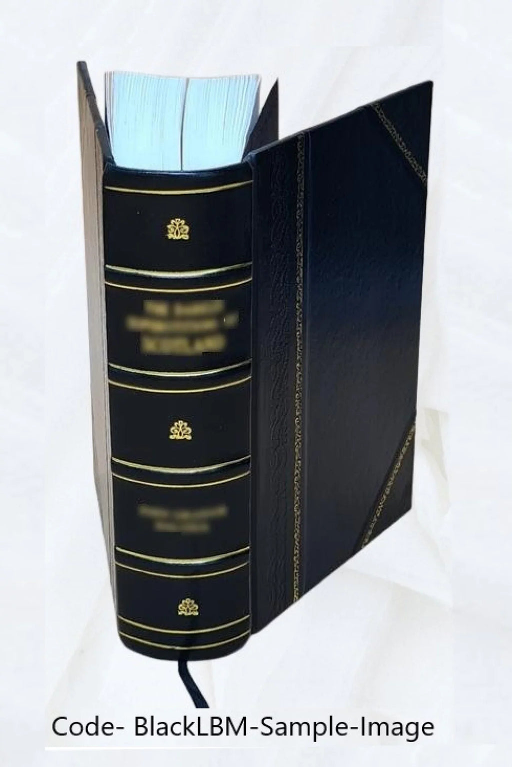 Volume [v.] 11/12 1853/1854 1854 [Leather Bound]. Goudsmit. Vos, onder toezigt van J.E. De regtzaal / Bearbeid door J.B