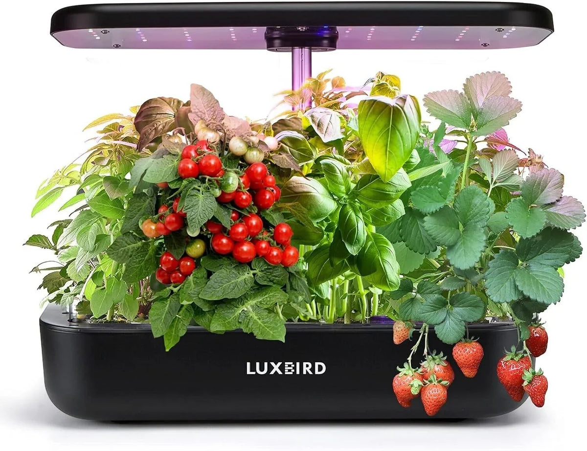 Hydroponics Growing System Indoor Garden Germination Kit 36W LED Grow Light Time